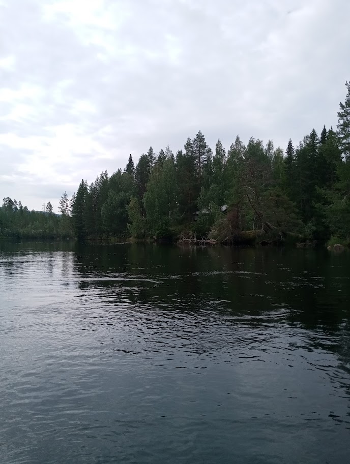 Sjölandskap i Rätan sommartid